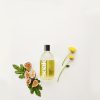 Fig_Fragrance_8x10in__06074.jpg